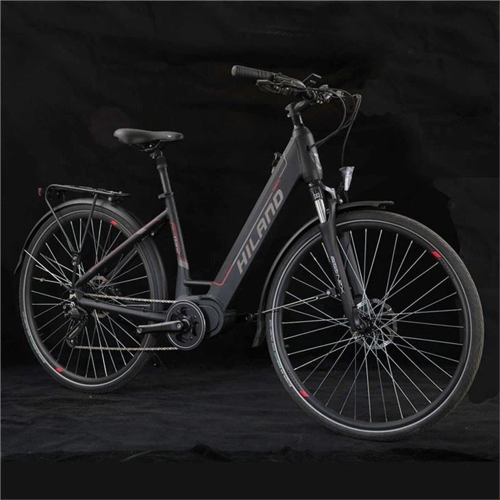 low price Electric City Bike