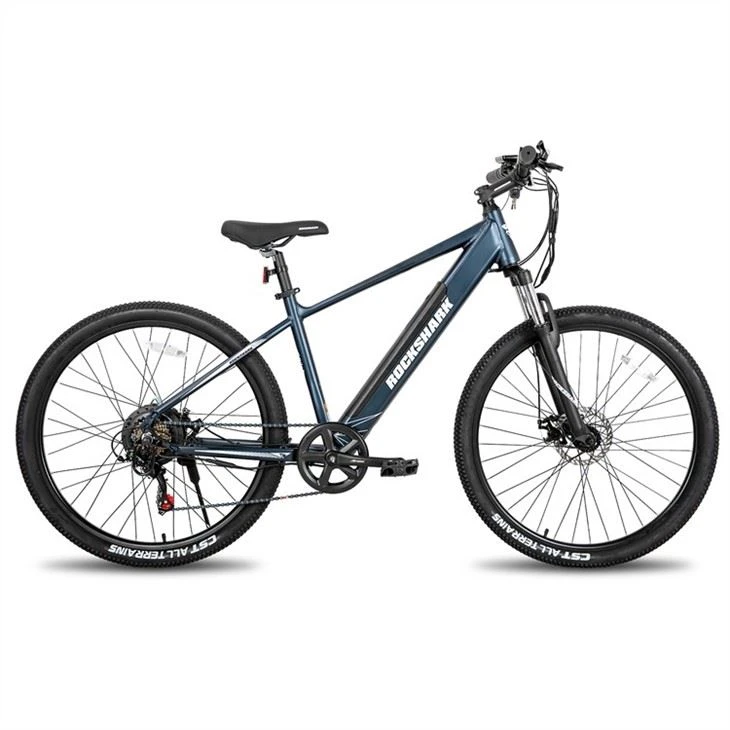 Electric Mountain Bike in China