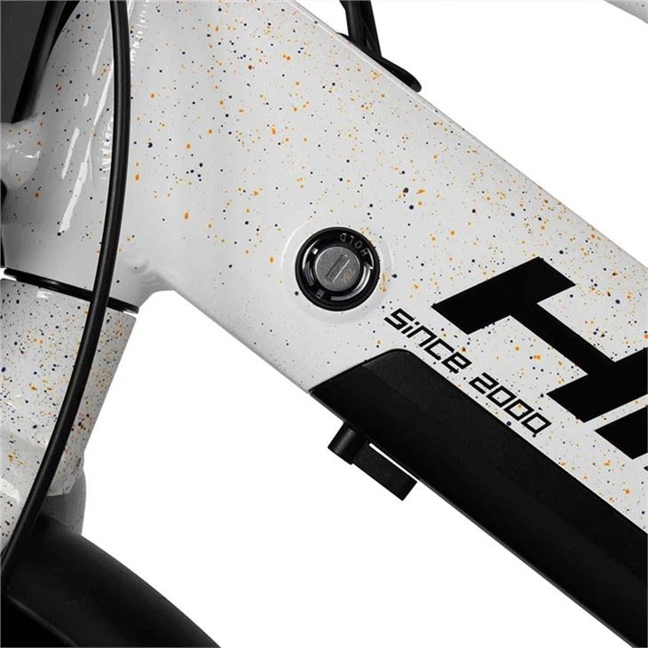 cheap Electric City Bike
