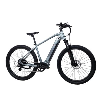 29" सस्पेंशन फोर्क 48V 500W एमटीबी ई बाइक